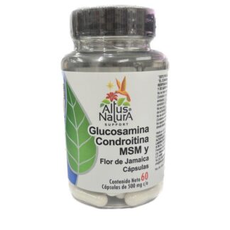 GLUCOSAMINA CONDROITINA Y MSM  500 MG 60 CAPSULAS